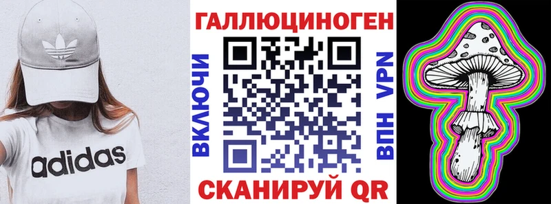 Псилоцибиновые грибы Psilocybine cubensis  Староминская 