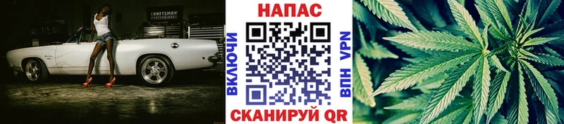 Бошки Шишки сатива Староминская